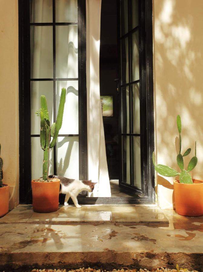 Fixie Lofts - Colonial Villa Suites With Pool Santo Domingo Exterior photo